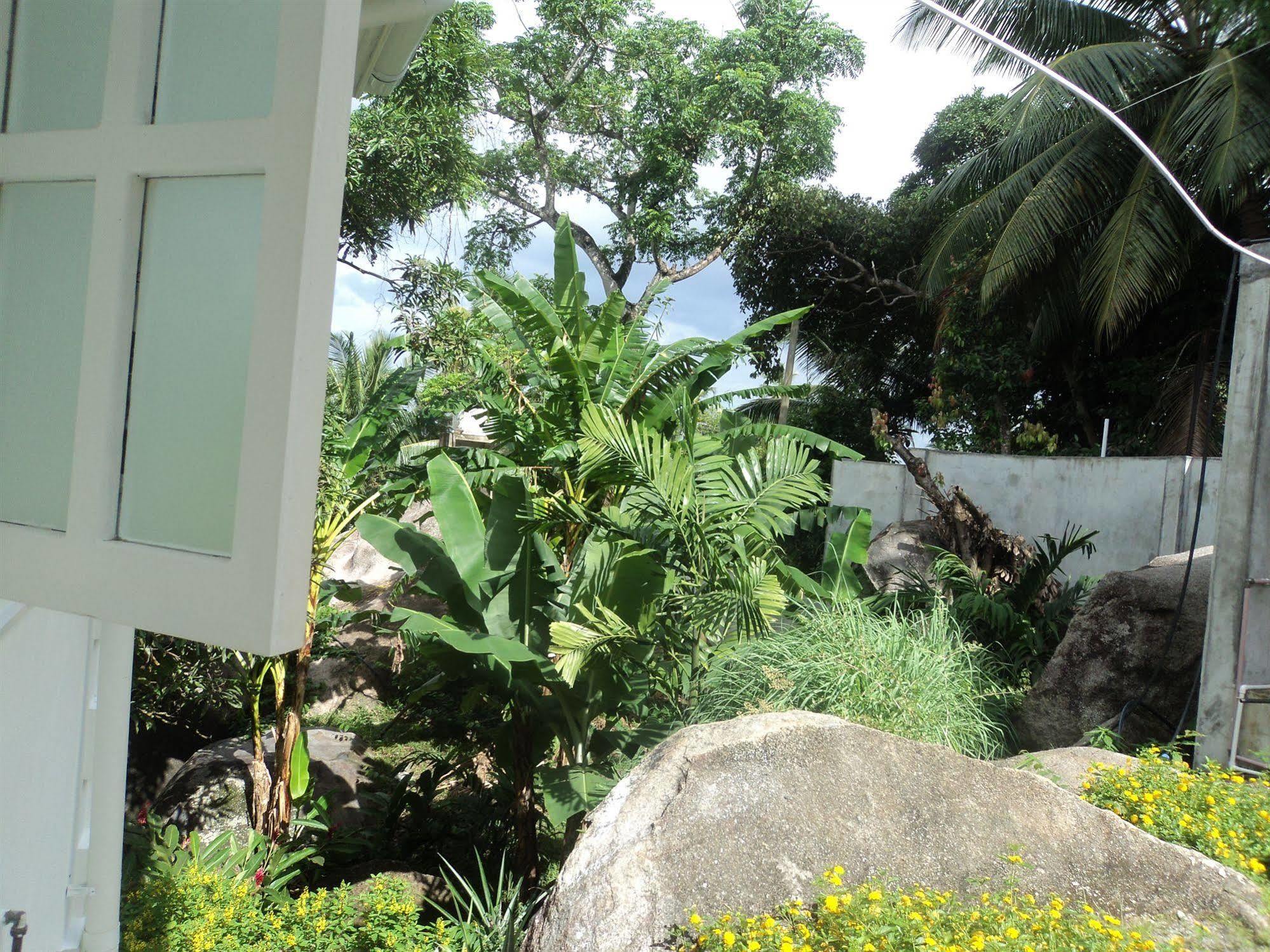 Petit Baie Chalet Pointe La Rue Buitenkant foto
